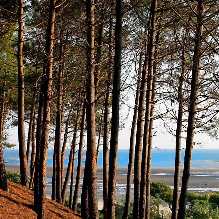 Appartement Arcachon, 3 Pièces, 5 Personnes - Fr-1-420-8
