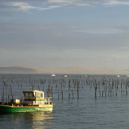 Centre - Grand T3 Calme, Lumineux Avec Terrasse Et Parking, Proche Plages Et Commerces - Fr-1-420-8 *