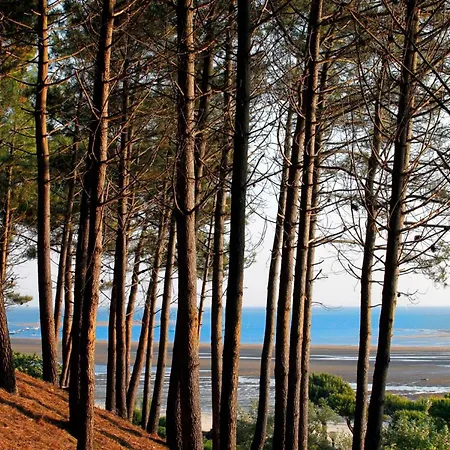 Centre - Grand T3 Calme, Lumineux Avec Terrasse Et Parking, Proche Plages Et Commerces - Fr-1-420-8 * Arcachon