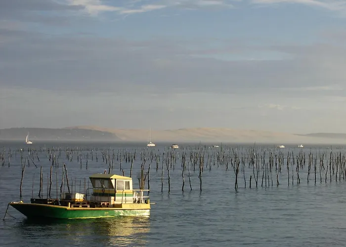 Centre - Grand T3 Calme, Lumineux Avec Terrasse Et Parking, Proche Plages Et Commerces - Fr-1-420-8 *