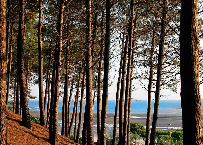 Centre - Grand T3 Calme, Lumineux Avec Terrasse Et Parking, Proche Plages Et Commerces - Fr-1-420-8 * 阿卡雄